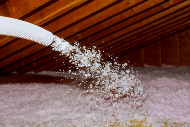 Best Blown-in Insulation in Merian, ID