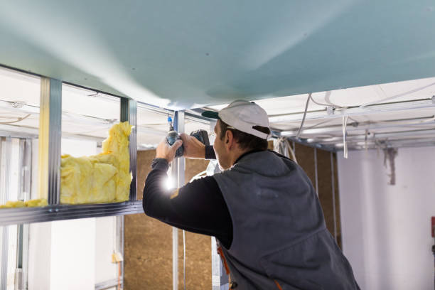 Best Commercial Insulation in Merian, ID