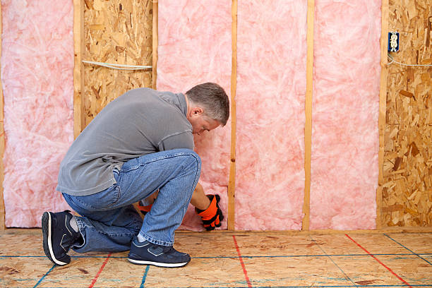 Best Geographic-Specific Insulation Services in Merian, ID