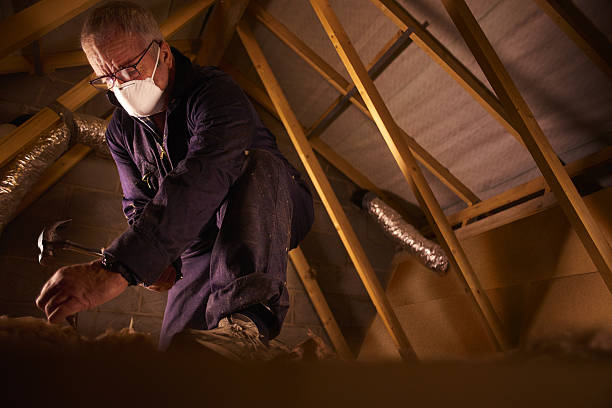  Merian, ID Insulation Contractor Pros